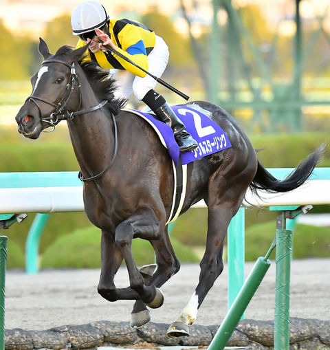 1 競馬 ソウルスターリング 競馬