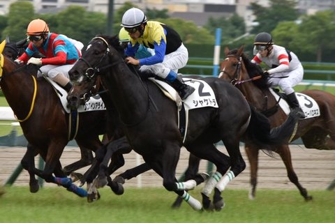 シャケトラ1