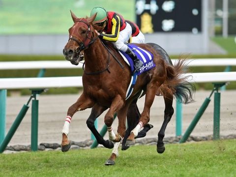 1 競馬 ラッキーライラック