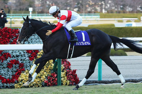 1 競馬 ダノンプレミアム