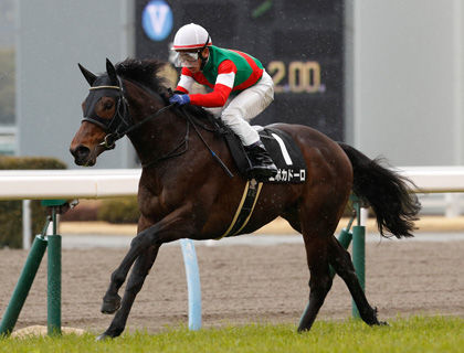 1 競馬 エポカドーロ