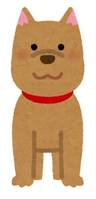 animal_dog_front.png