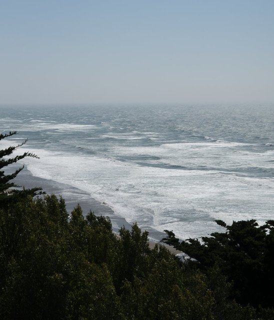 beach-waves-through-trees (1).jpg
