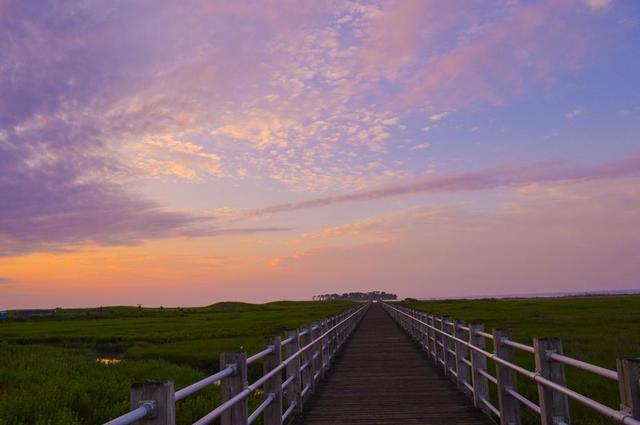 boardwalk-through-marsh-under-bright-purple-sky.jpg