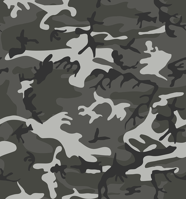 camouflage-145980_640.png