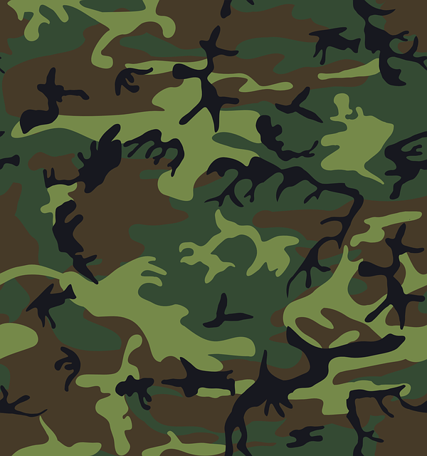camouflage-33708_640.png