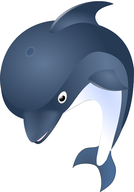 dolphin-41436_640.png