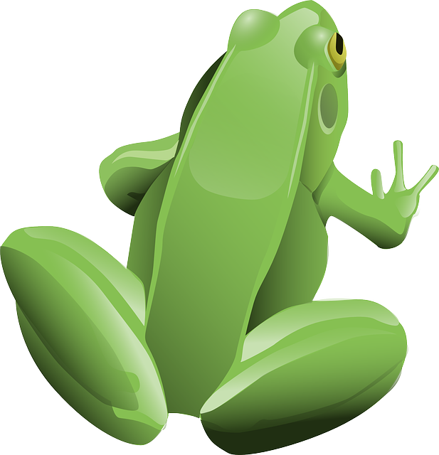 frog-157934_640.png