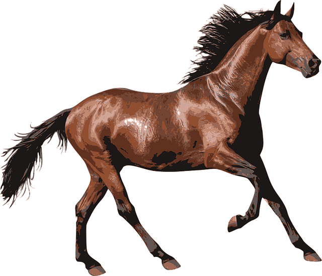 horse-1297225_640.png