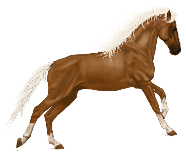 horse-1909491_640.png