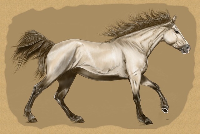 horse-1917866_640.jpg