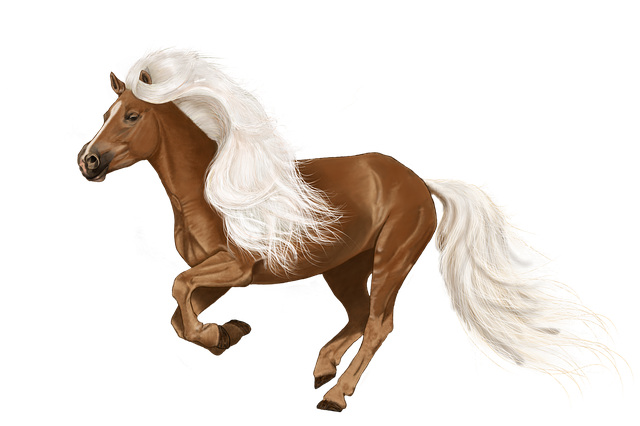 horse-1960276_640.png