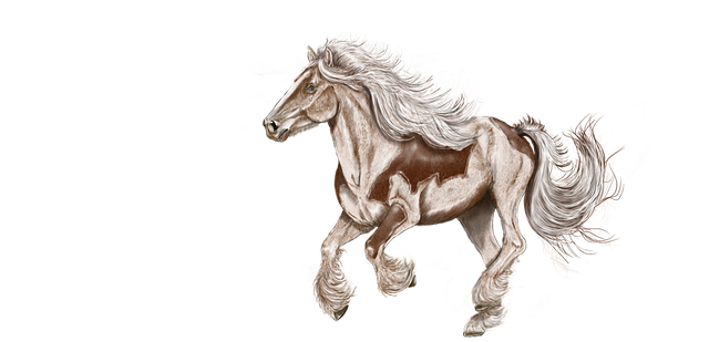 horse-1987391_640.png