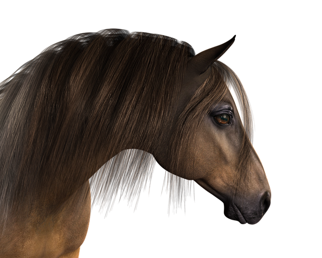 horse-2255924_640.png