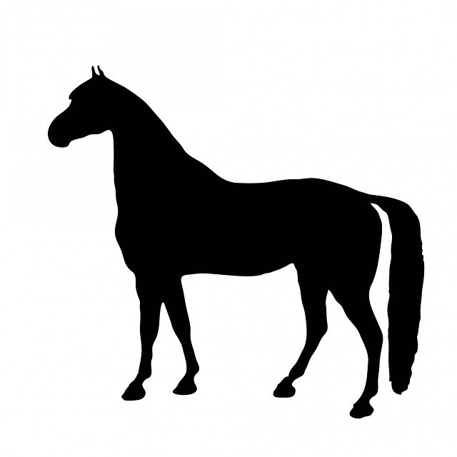 horse-316943_640.jpg