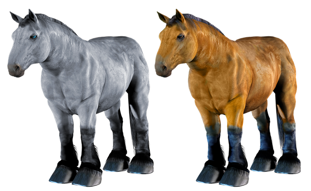 horse-3189775_640.png