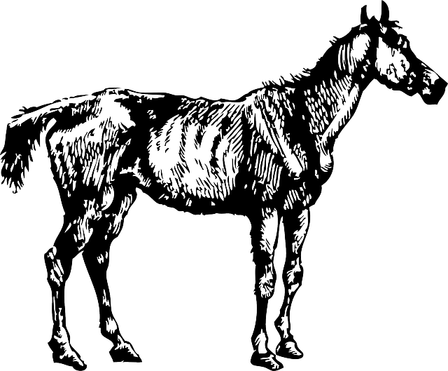 horse-32975_640.png