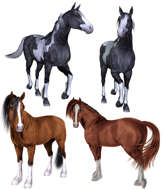 horse-3450634_640.png