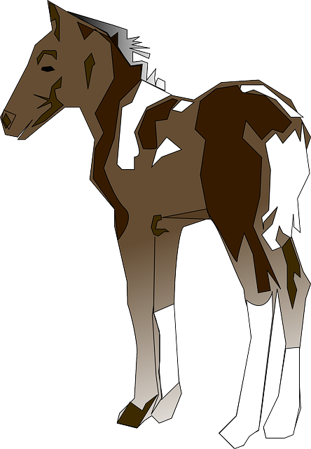 horse-47307_640.png