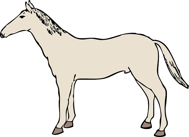 horse-47687_640.png