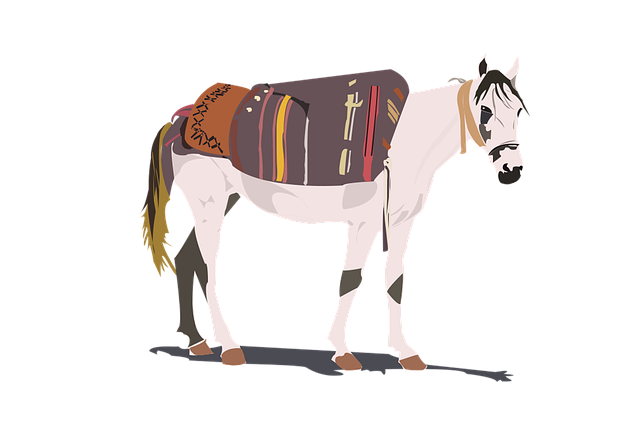 horse-5009553_640.png