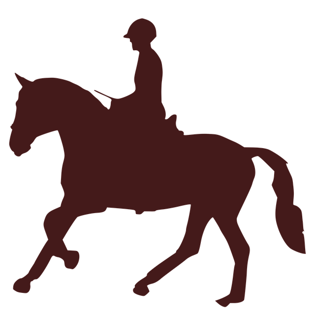 horse-5972345_640 (1).png