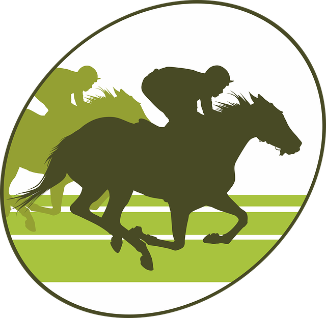 horse-racing-1785762_640.png