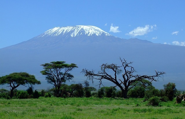 kilimanjaro-1025146_640.jpg