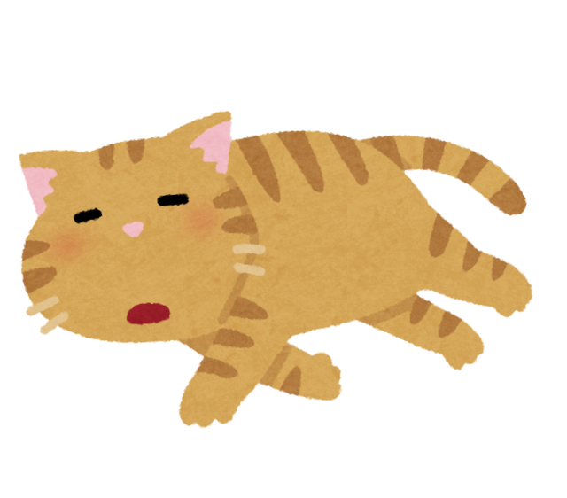 pet_darui_cat.png