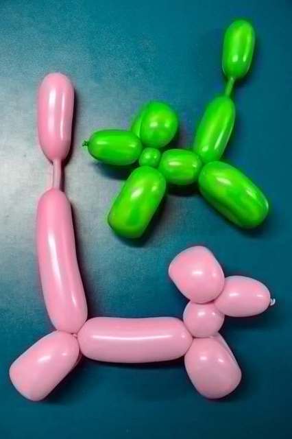 photo-1561074666-4f41572d8e1a.jpg.crdownload