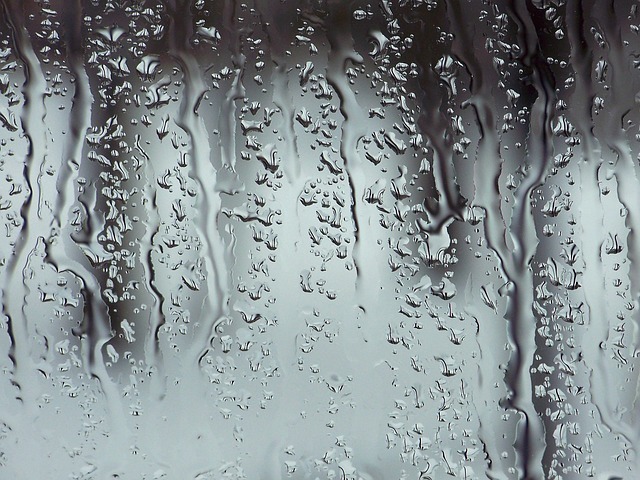 rain-17967_640.jpg