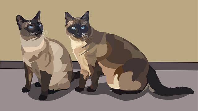 siamese-cat-2982232_640.png