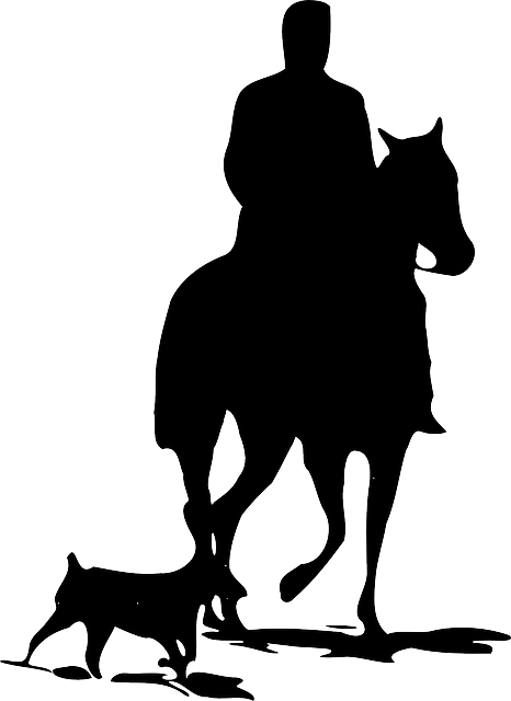 silhouette-41826_640.png