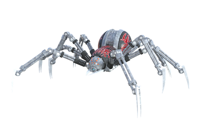 spider-1615195_640.png