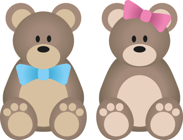 teddy-4637799_1280.png