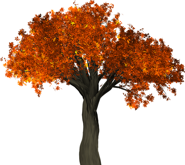 tree-1658813_640.png