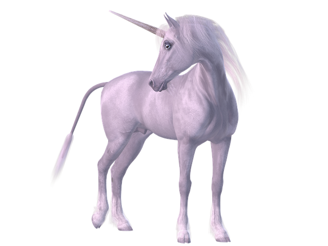 unicorn-1981220_640.png
