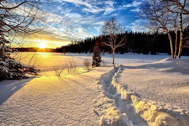 winter-landscape-636634_640.jpg